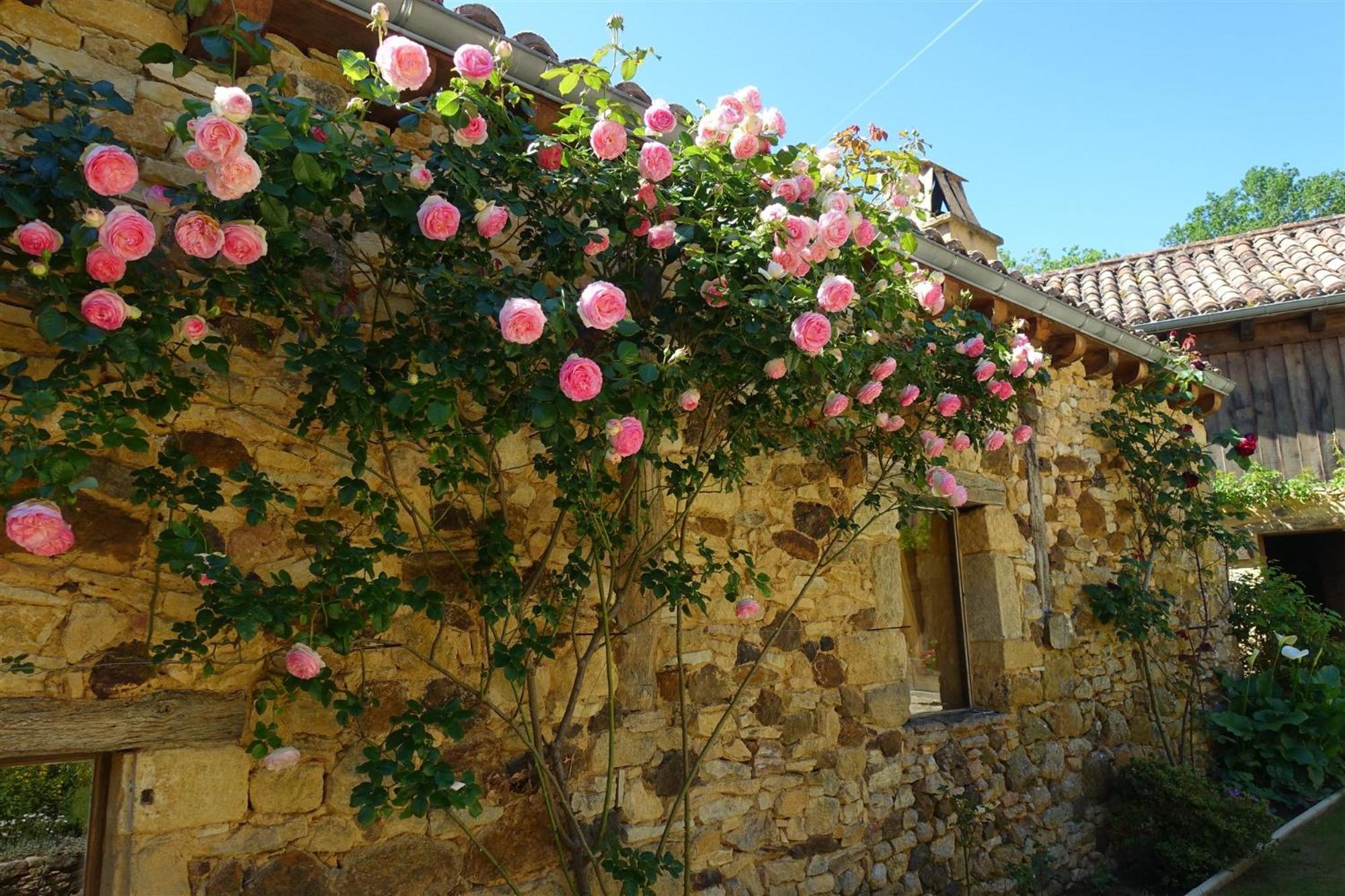 Domaine De Cournet Haut, A 17Th Century Property Set On A Calm, Idyllic Domain With Pool, Tennis, Bikes And More Les Vauries Buitenkant foto