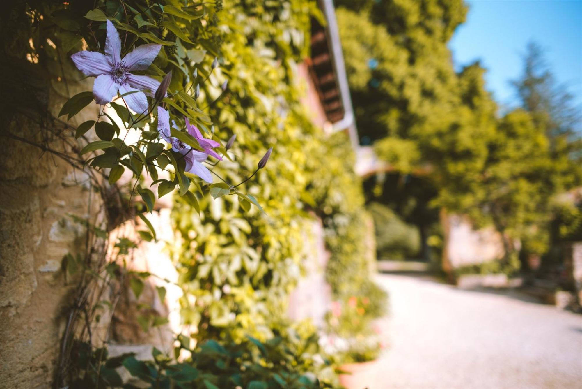 Domaine De Cournet Haut, A 17Th Century Property Set On A Calm, Idyllic Domain With Pool, Tennis, Bikes And More Les Vauries Buitenkant foto