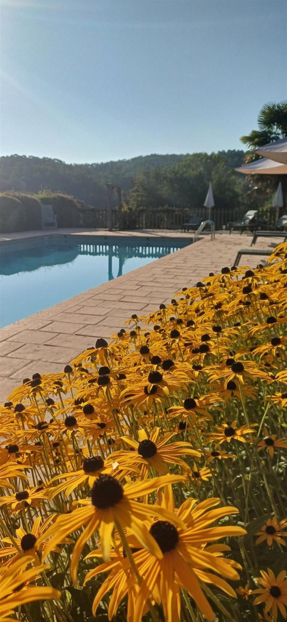 Domaine De Cournet Haut, A 17Th Century Property Set On A Calm, Idyllic Domain With Pool, Tennis, Bikes And More Les Vauries Buitenkant foto